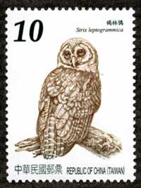 (Sp.572.3)Sp.572 Owls of Taiwan Postage Stamps (Issue of 2012)