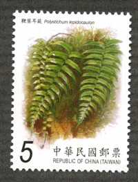 Sp.575 Ferns Postage Stamps (Issue of 2012) stamp pic