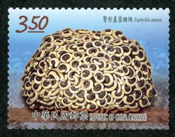 Sp.640 Corals of Taiwan Postage Stamps (Issue of 2016) stamp pic