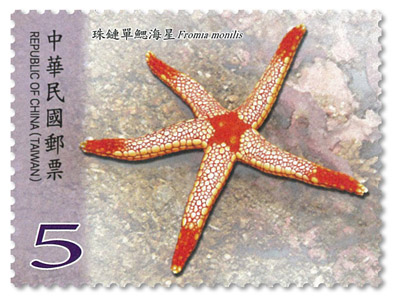 Sp.649 Marine Life Postage Stamps –Starfish stamp pic