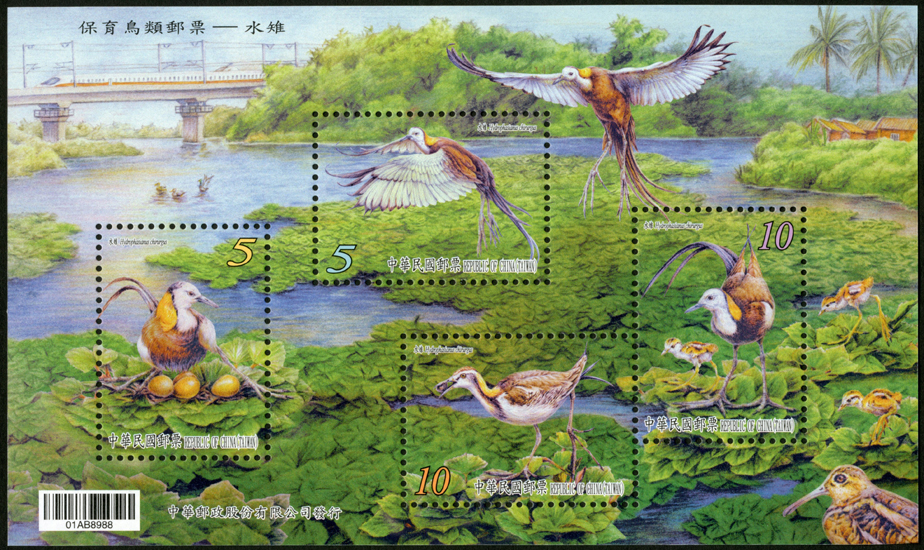 (特658.1)特658保育鳥類郵票小全張-水雉   