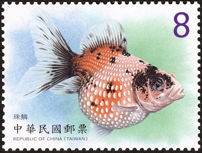 Sp.705 Aquatic Life Postage Stamps – Goldfish (III) stamp pic