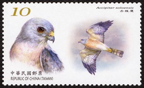 (特718.2)特718 保育鳥類郵票(111年版)
