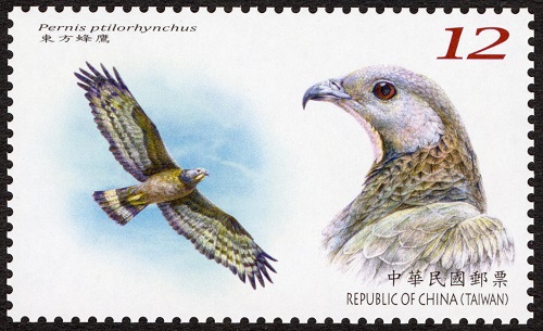 (特718.3)特718 保育鳥類郵票(111年版)