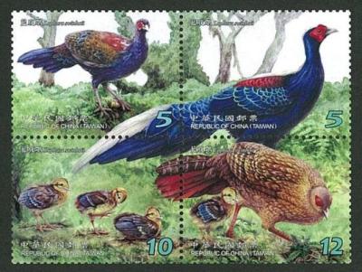 特601保育鳥類郵票-藍腹鷴   