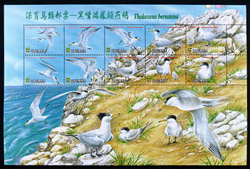 Conservation of Birds Postage Stamps Chinese Crested Tern stamp pic