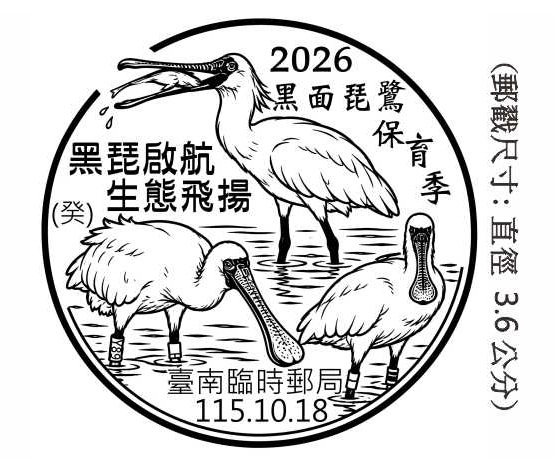 2026 黑面琵鷺保育季 黑琵啟航生態飛揚