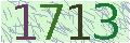 Please enter the image verification code