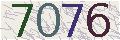 Please input image Verification code